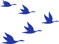ftl-logo-birds Freedom to Lead Birds