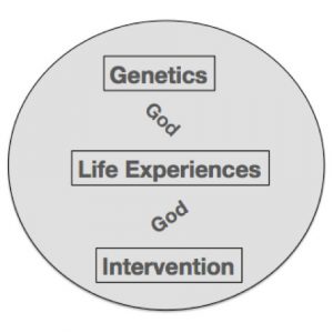 Contributors to a Leader's Emergence